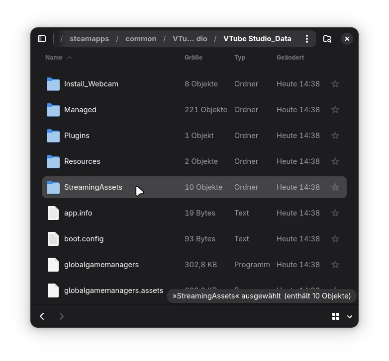 VTube Studio Streaming Assets