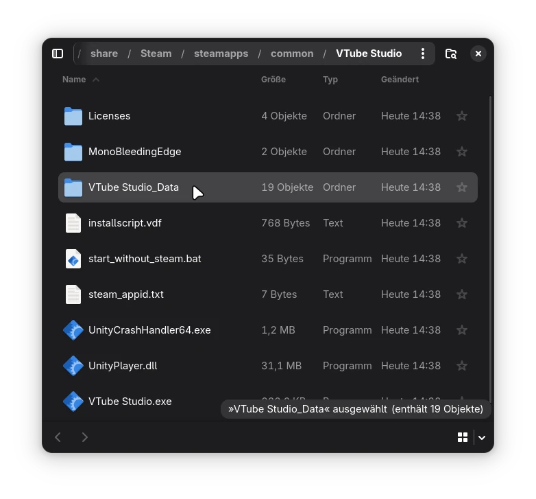 VTube Studio Data